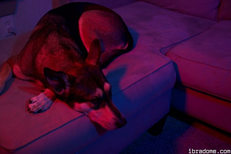 Sabrina Nichole Redlight District Set 17289