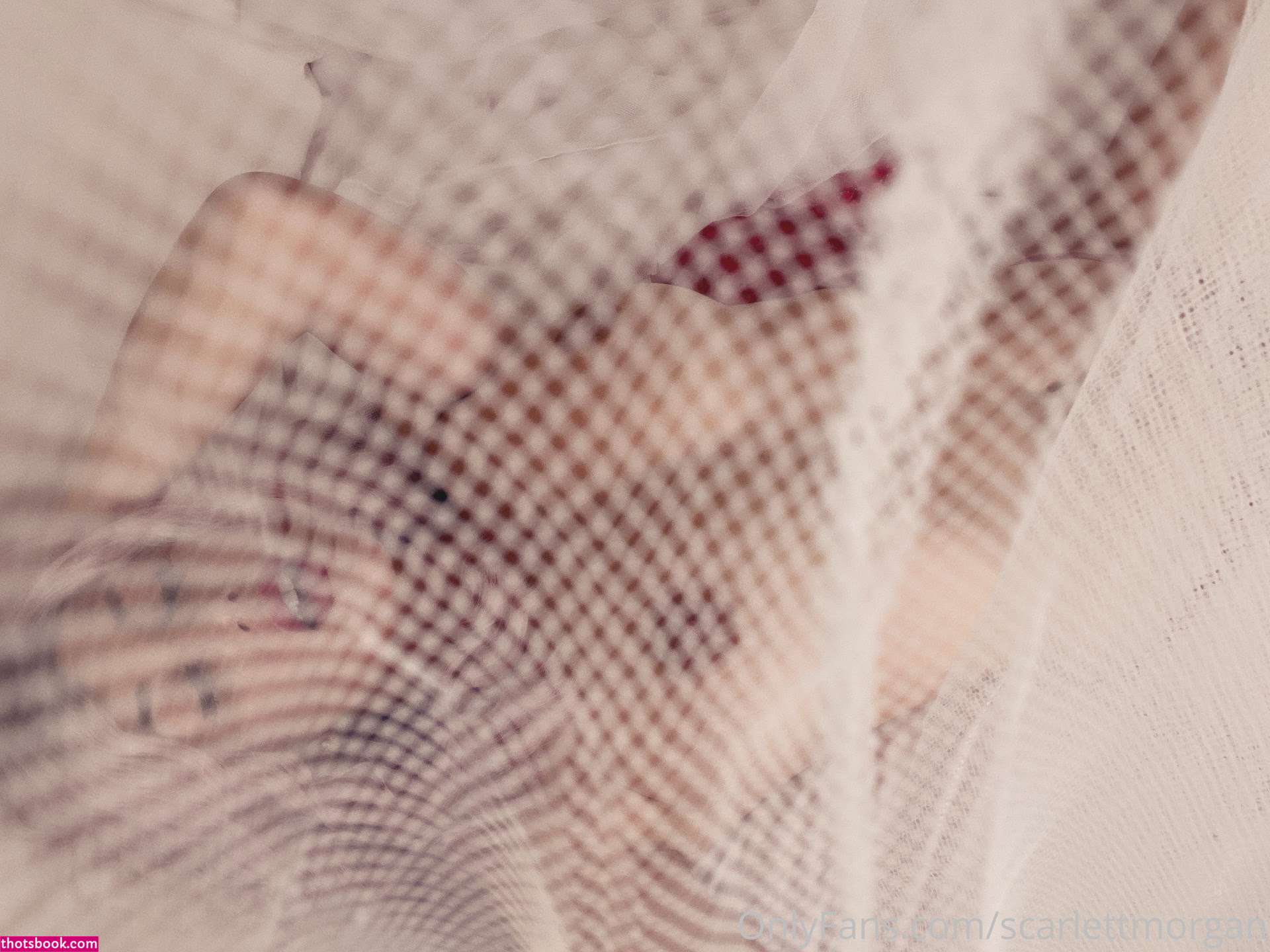 Scarlett Morgan Nude OnlyFans Photos #8 564086