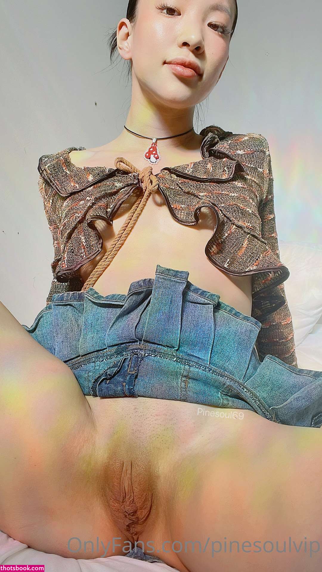 pinesoulvip Nude OnlyFans Photos #3 541118