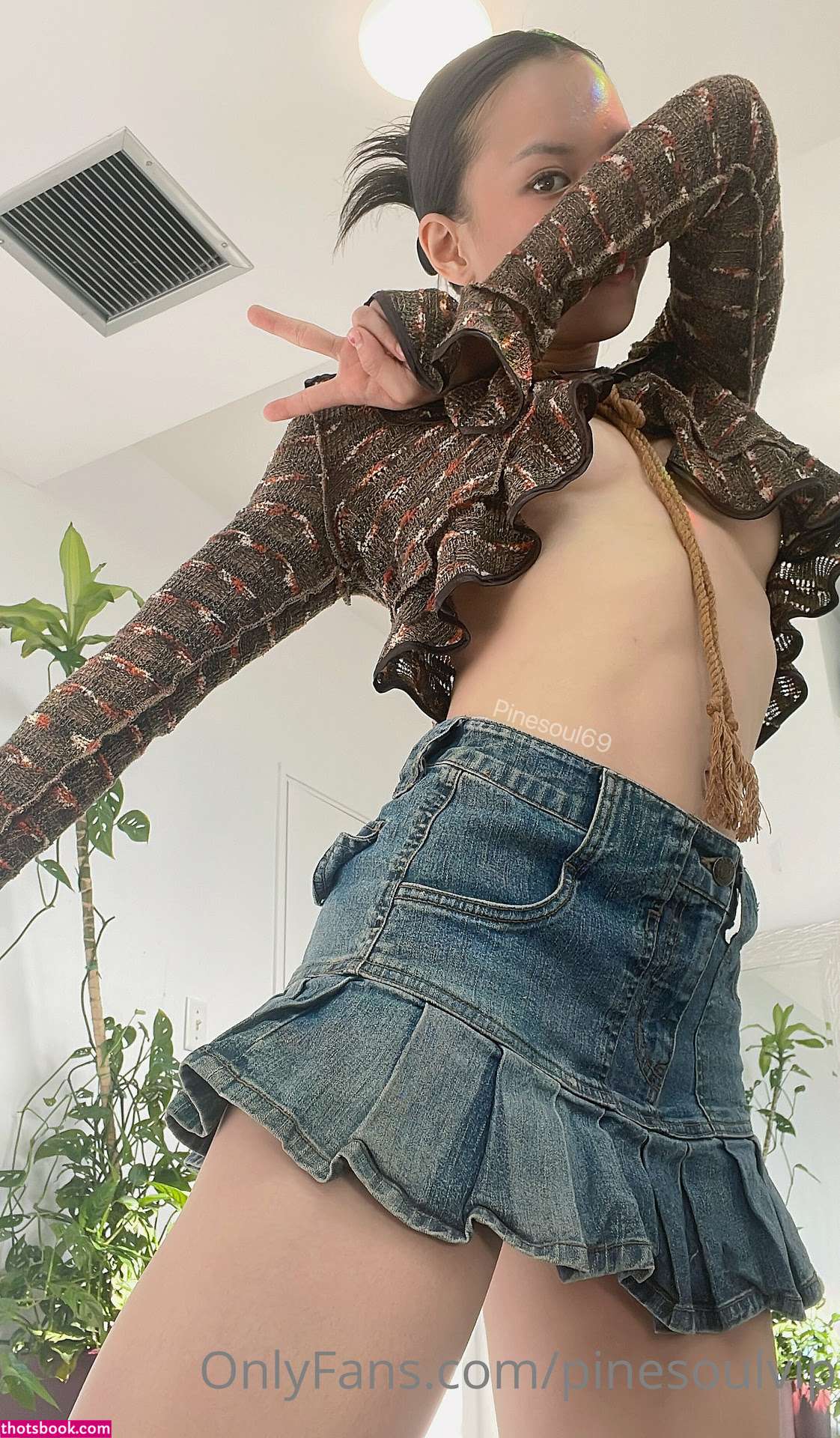 pinesoulvip Nude OnlyFans Photos #3 541124