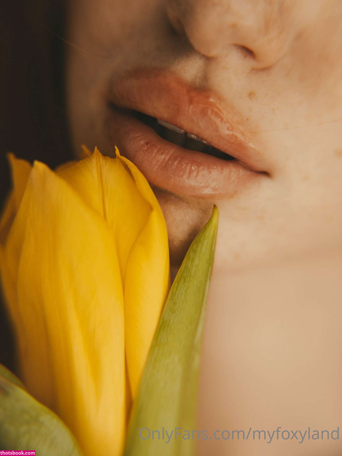 Myfoxyland Nude OnlyFans Photos #3 558702