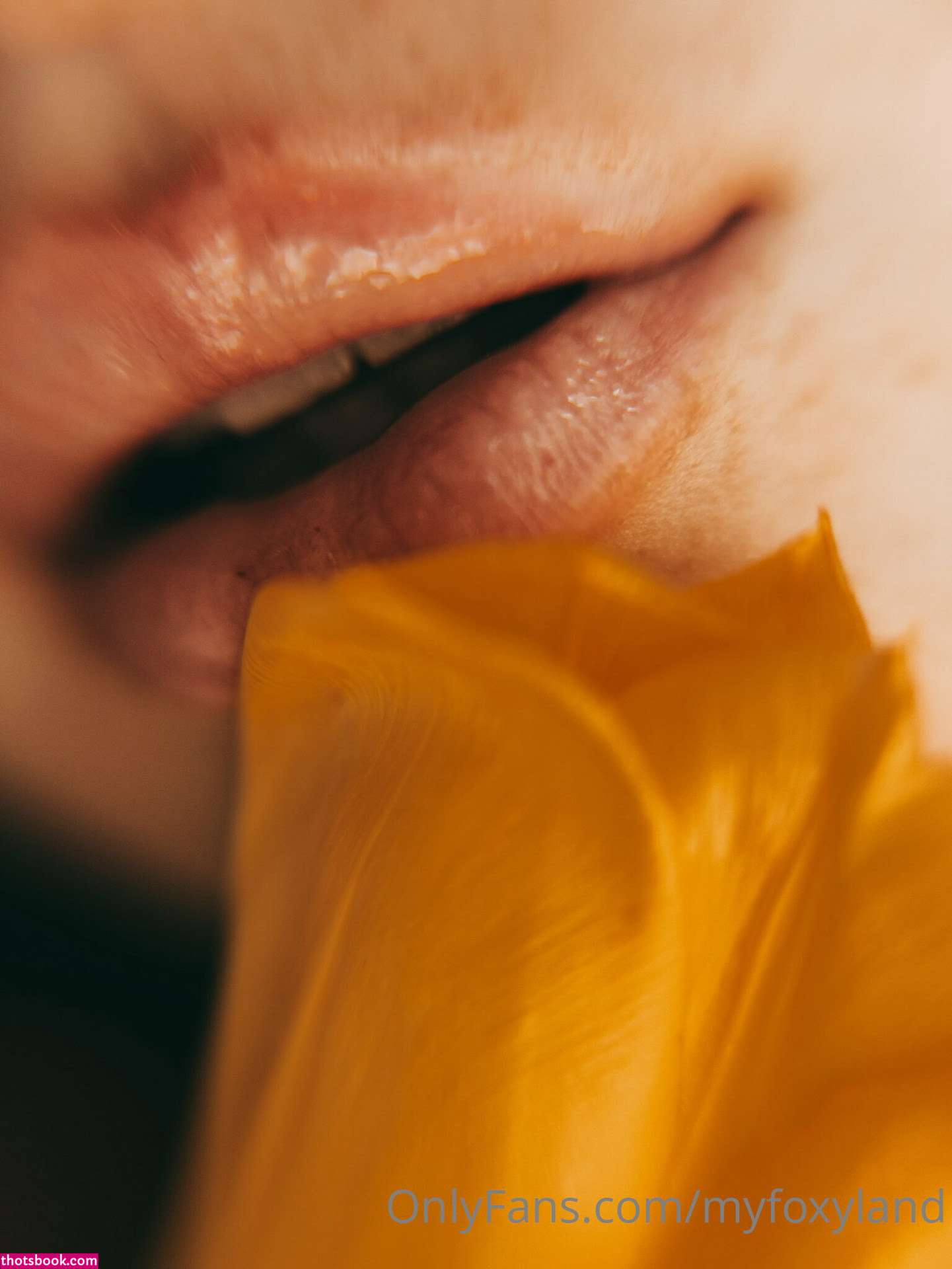 Myfoxyland Nude OnlyFans Photos #3 558707