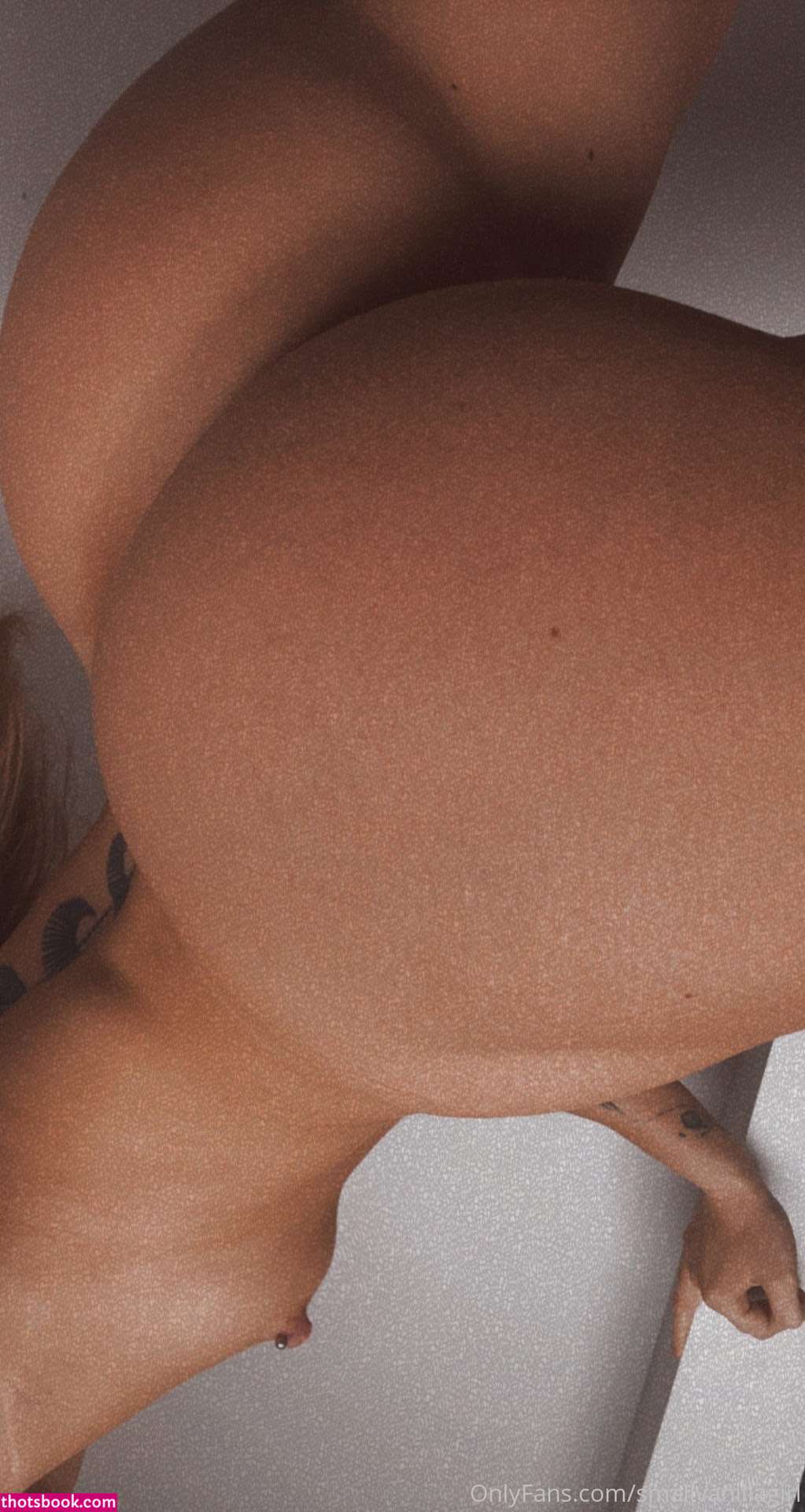 smallvanillagirl Nude OnlyFans Photos #7 556320