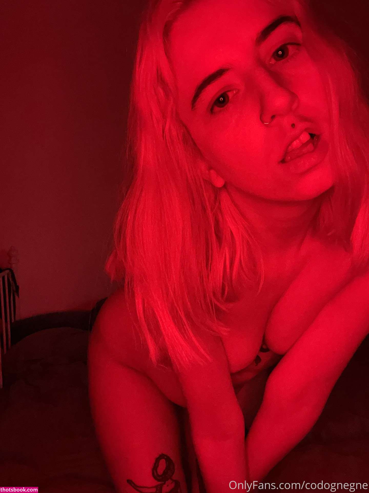 codognegne Nude Leaks OnlyFans Photos #2 1422136