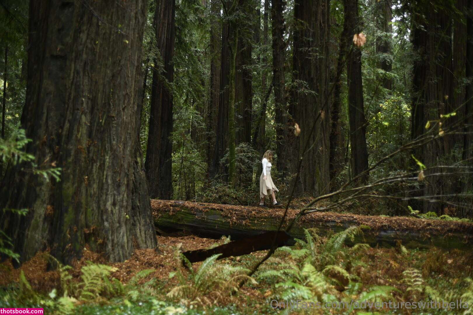 bella rayne Nude Leaks OnlyFans Photos #2 1423852