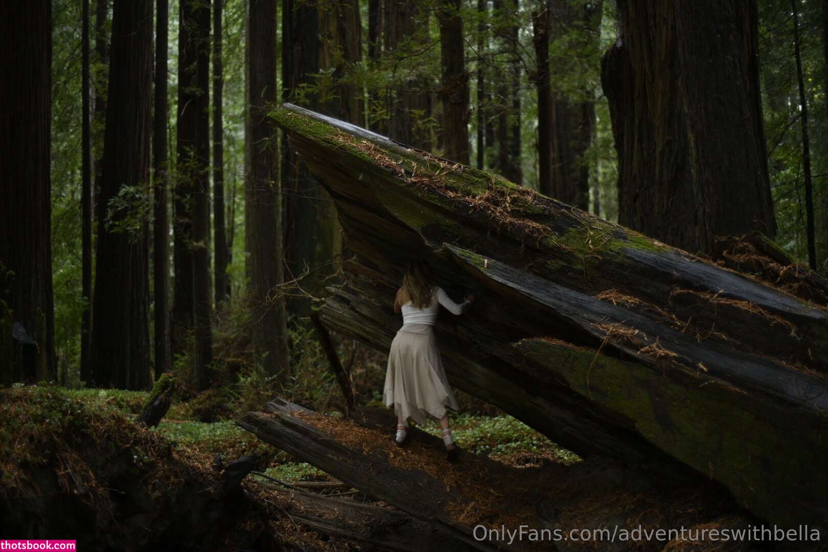 bella rayne Nude Leaks OnlyFans Photos #2 1423854