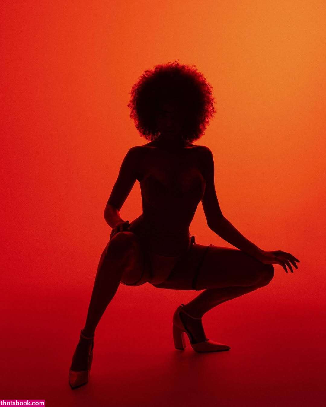 Nicole Akonchong nicoleakonchong Nude Leaks OnlyFans Photos #5 1405825