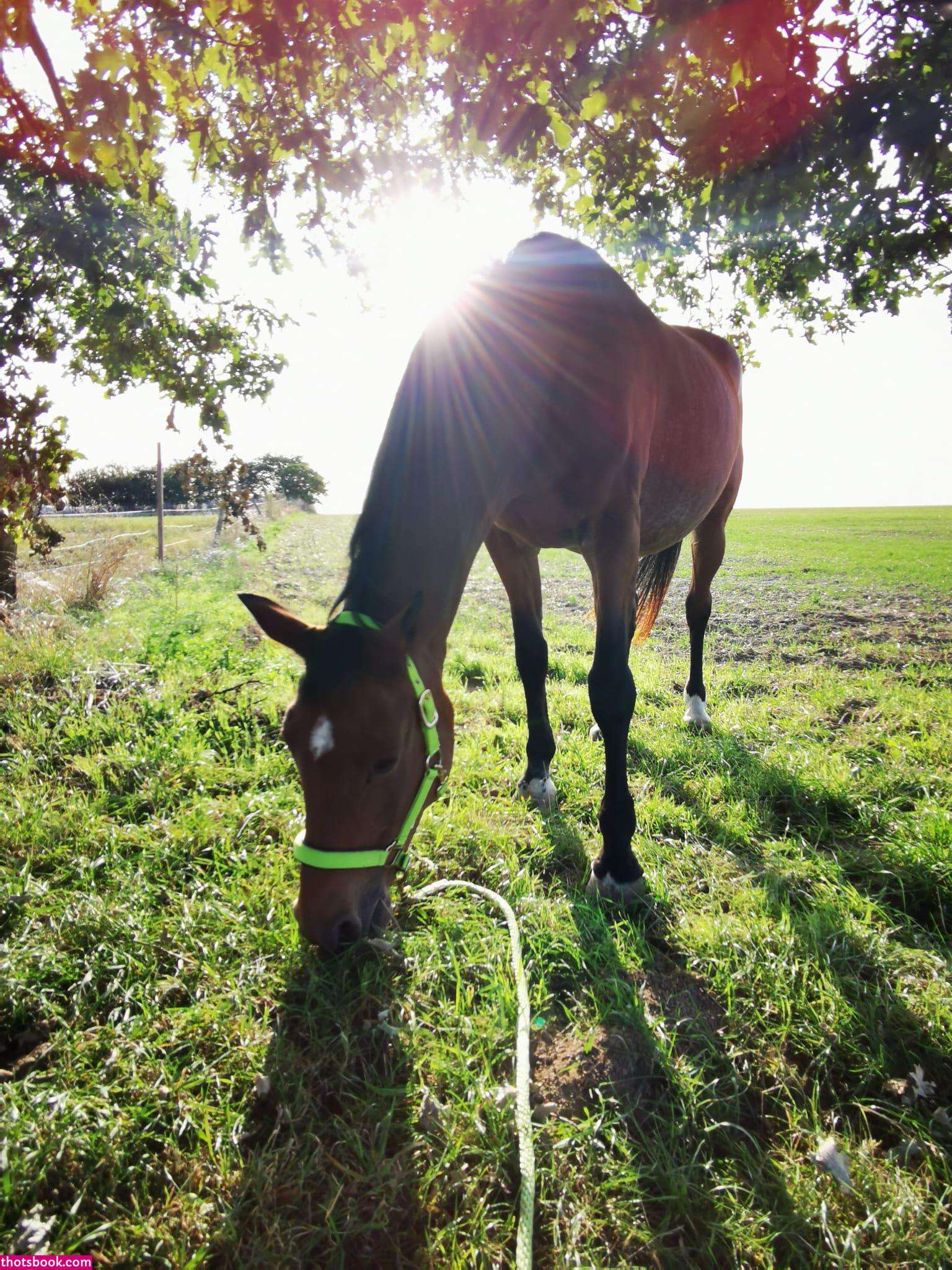 Nina Raine Nude Leaks OnlyFans Photos #5 1432806