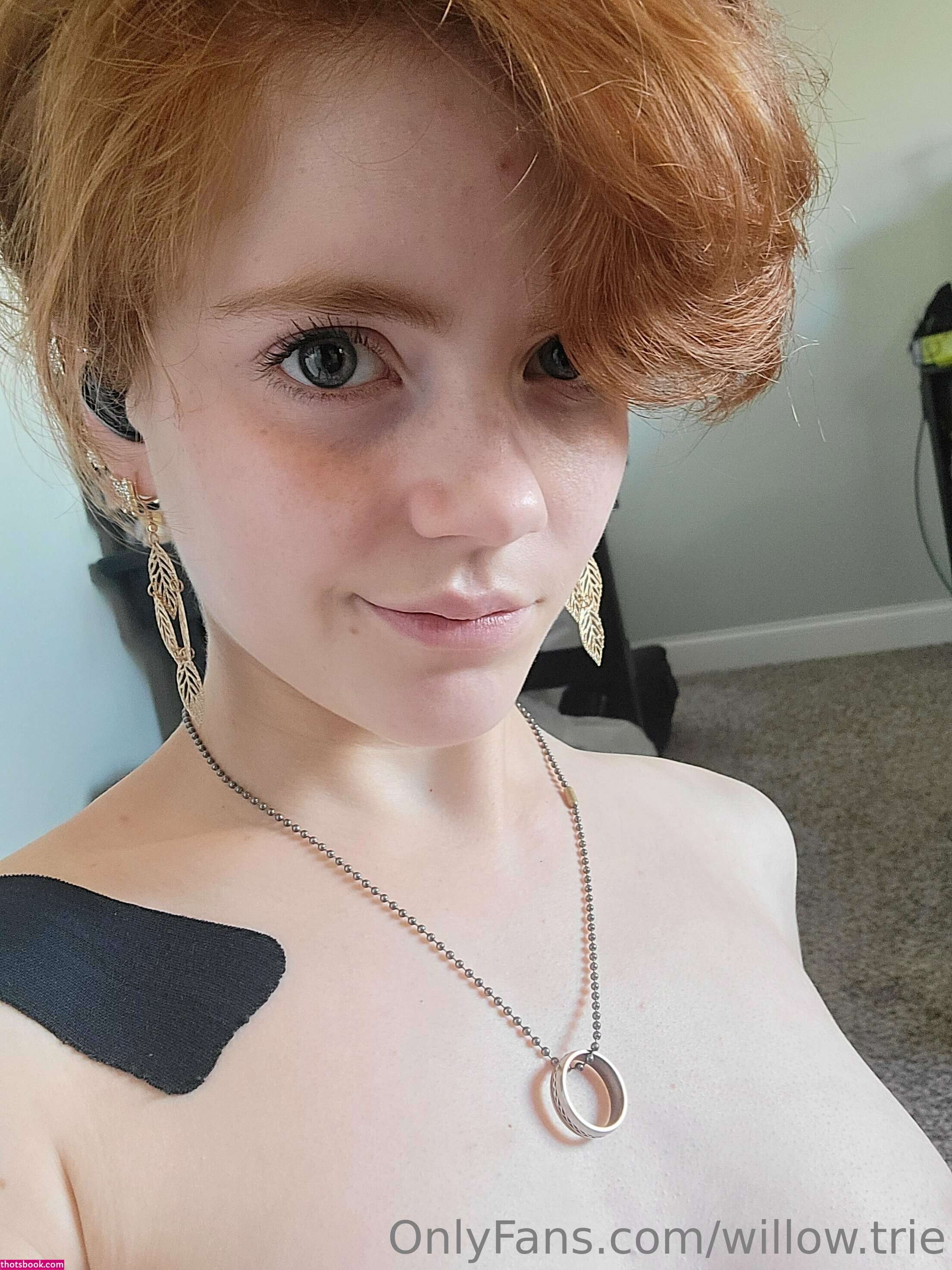 Willow.Trie Photos #1 137817