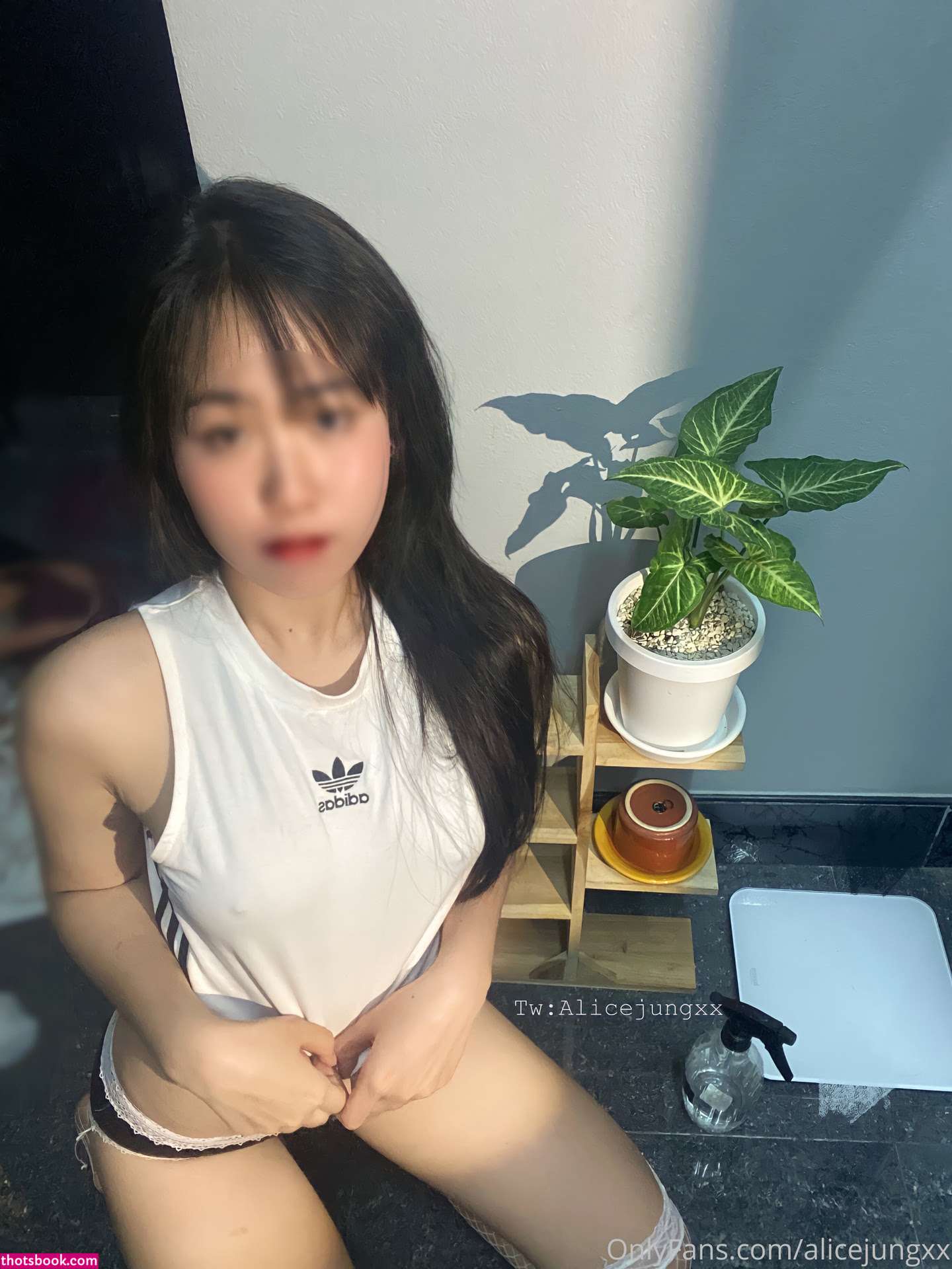alicejungxx Nude OnlyFans Photos #14 528136