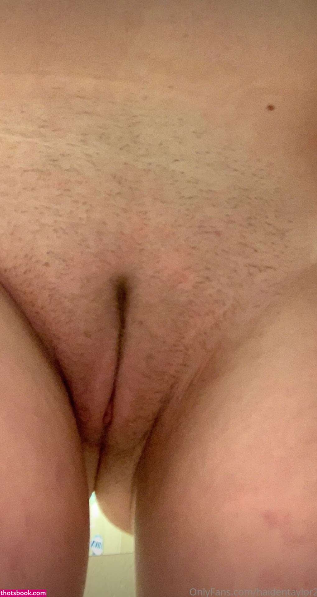 haidentaylor2 Nude OnlyFans Photos #9 488442