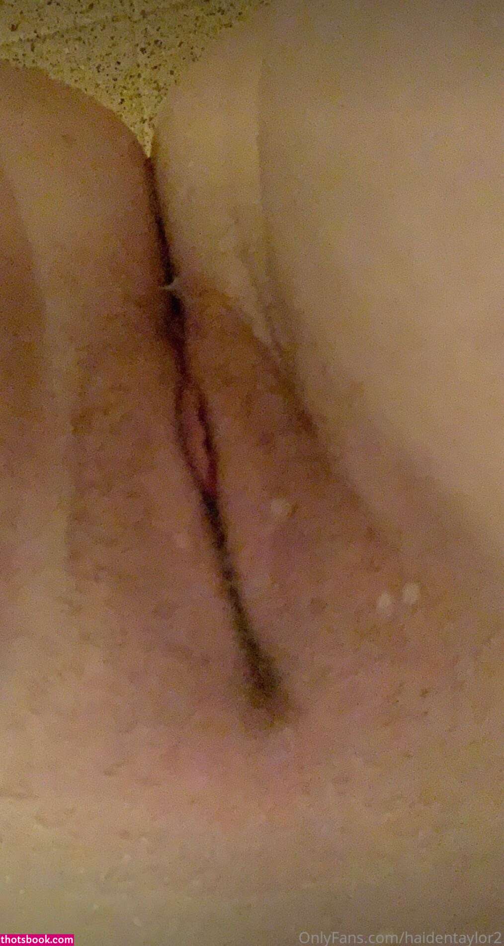 haidentaylor2 Nude OnlyFans Photos #9 488443