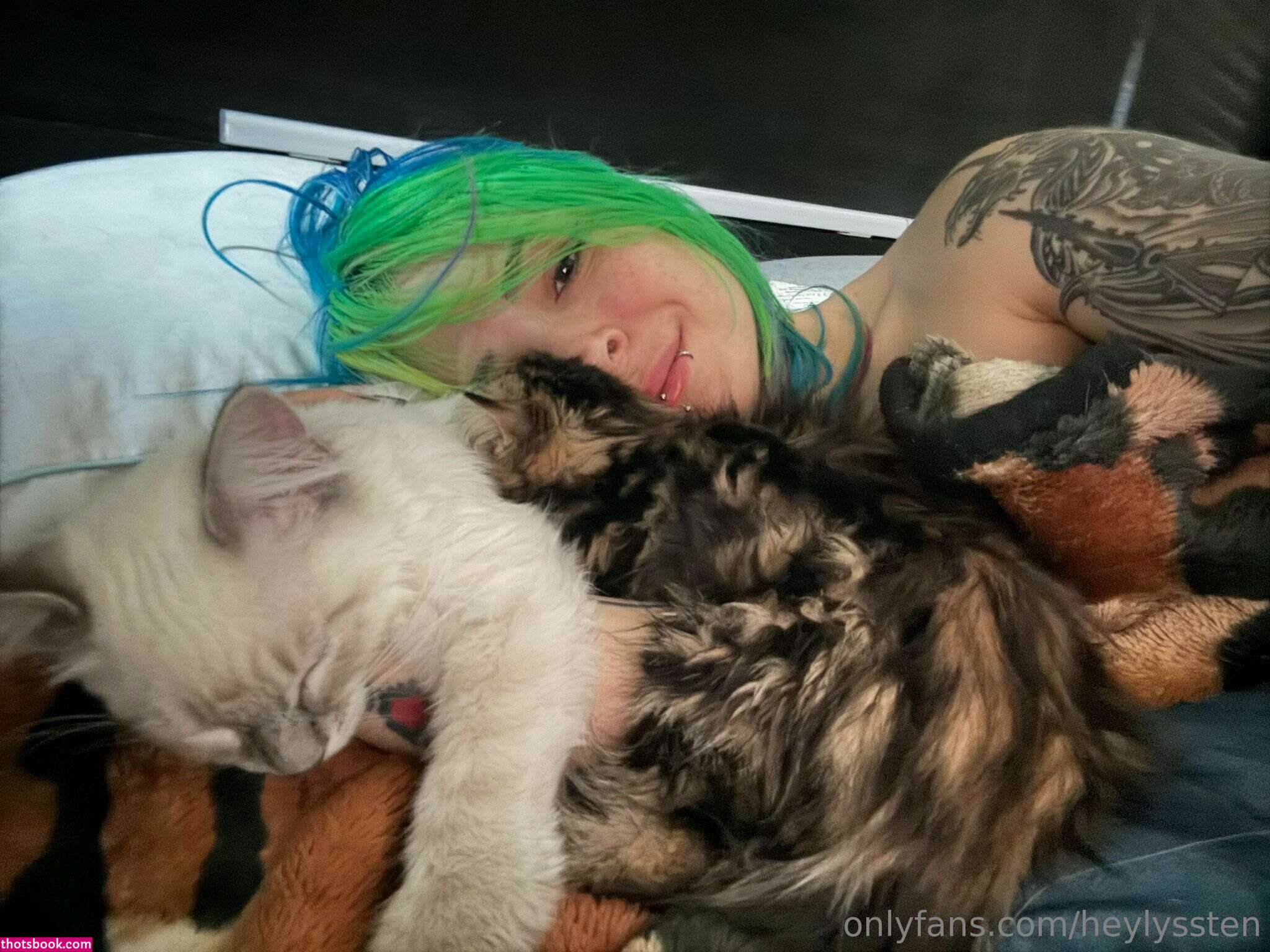 HeyLyssten Nude OnlyFans Photos #6 481309