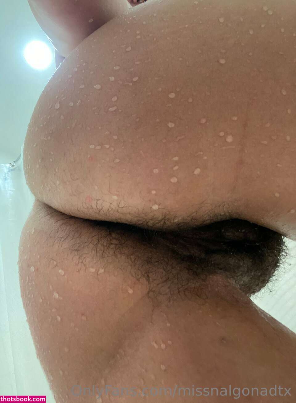 missnalgonadtx Nude OnlyFans Photos #6 498817