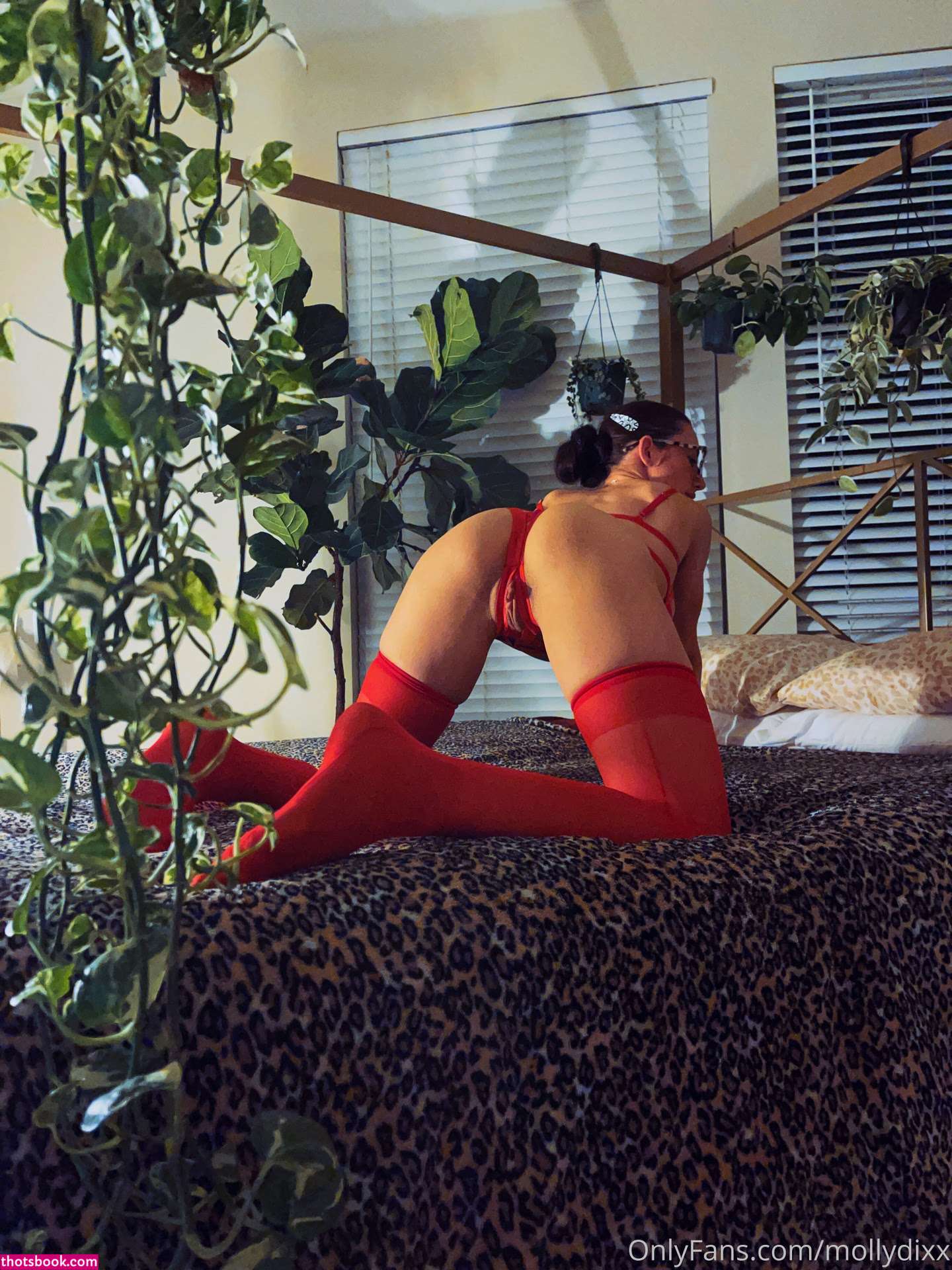 Molly Dixx Nude OnlyFans Photos #7 501690