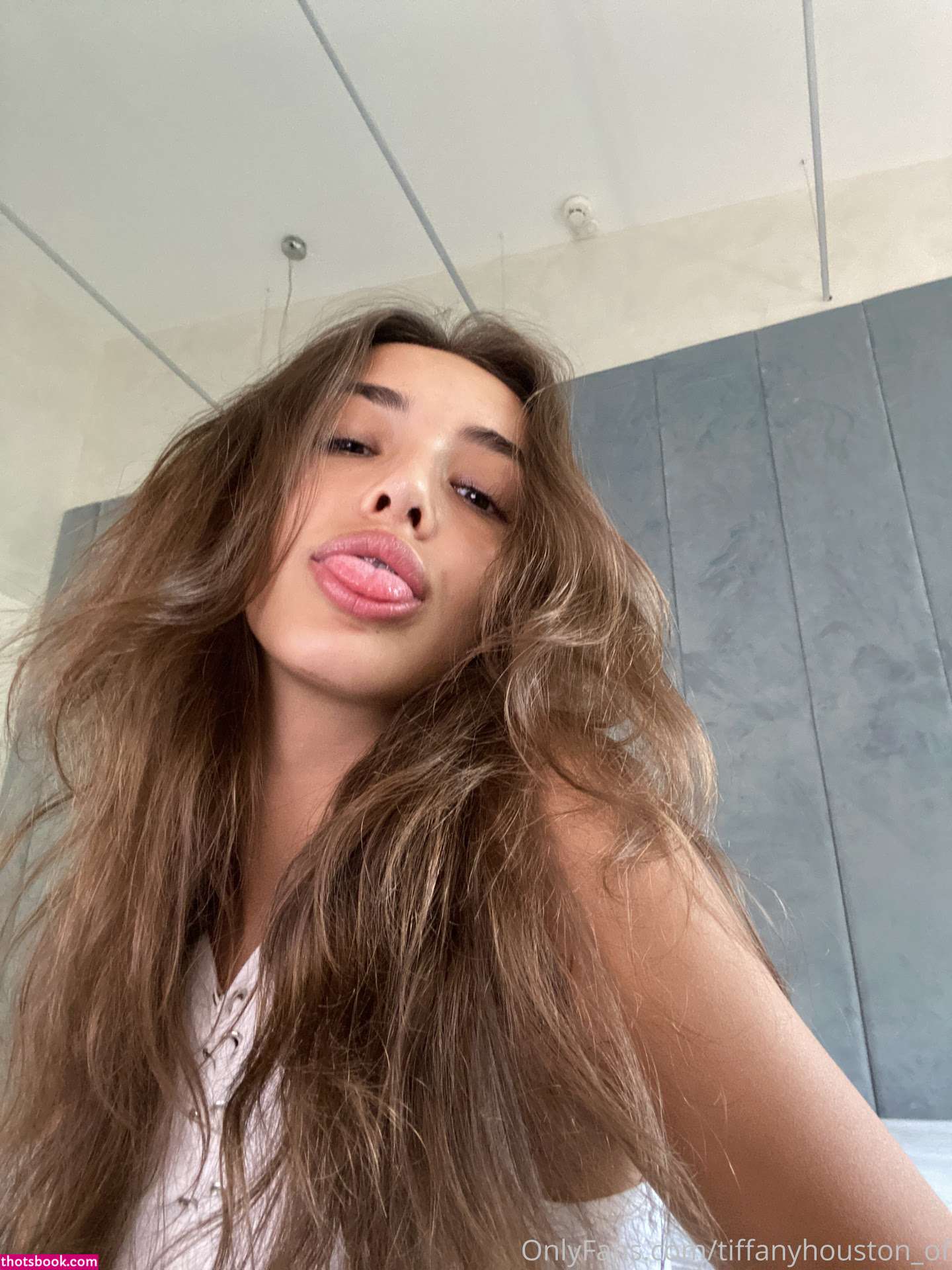 Tiffany Houston Nude OnlyFans Photos #10 533624