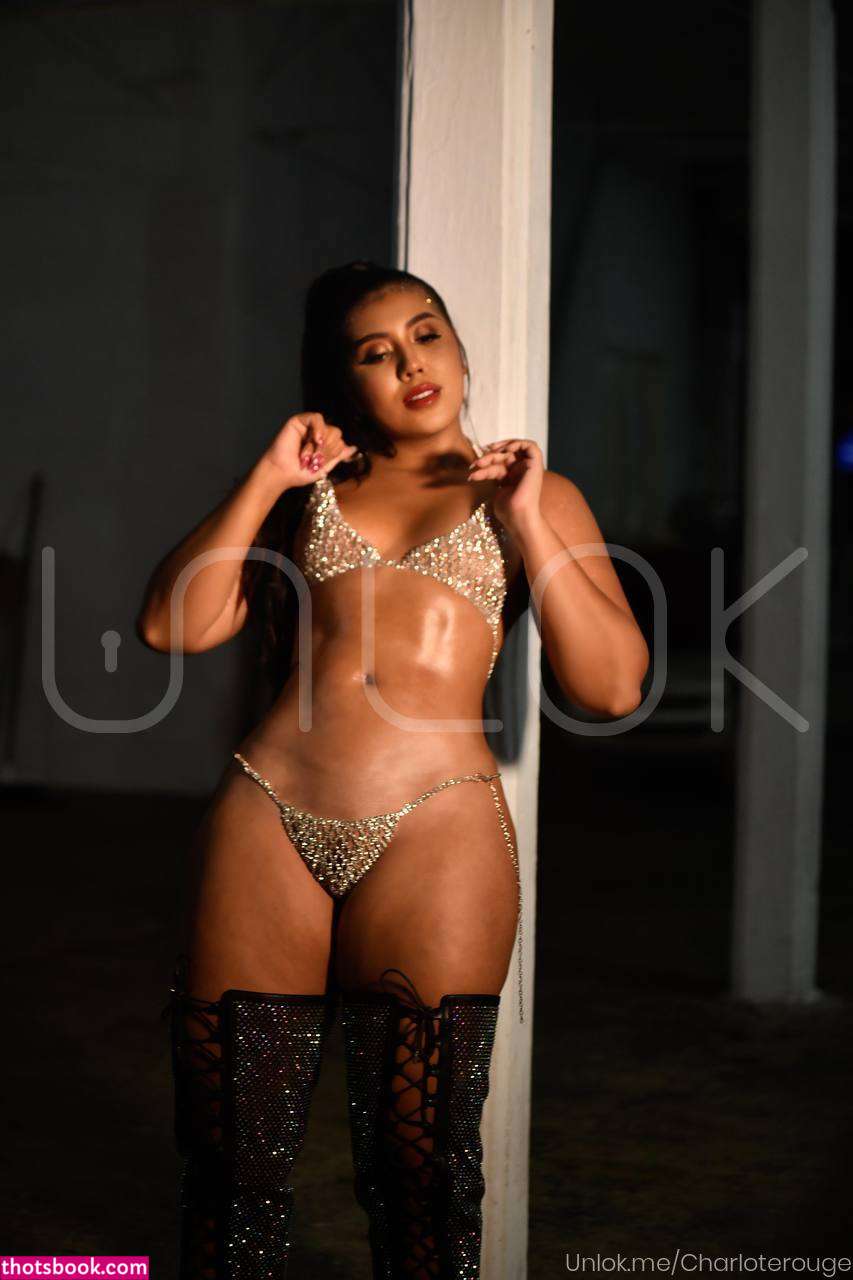 Charlote Rouge Nude OnlyFans Photos #2 495920