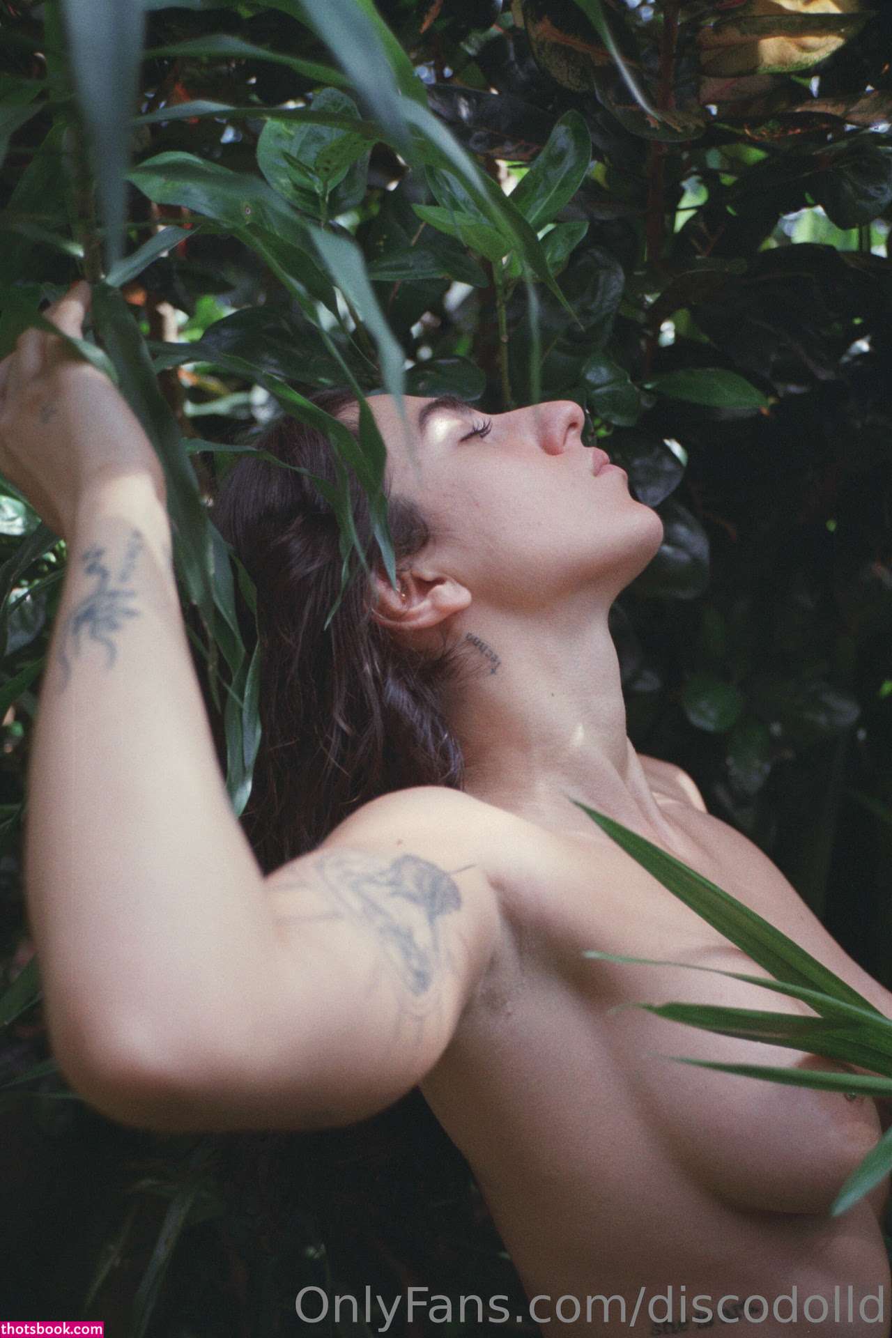 discodoll Nude OnlyFans Photos #5 496572