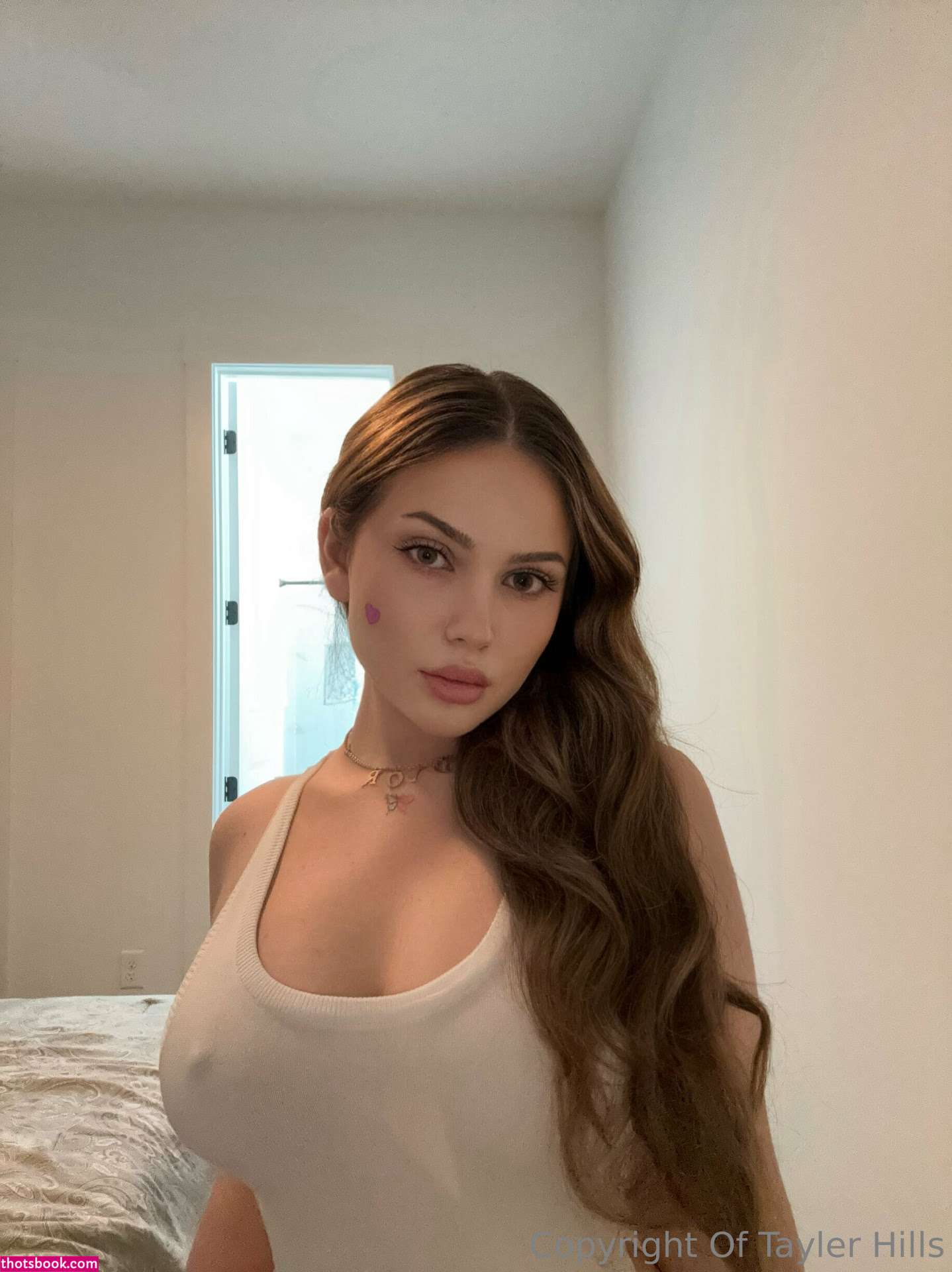 Tayler Hills Nude OnlyFans Photos #23 490565