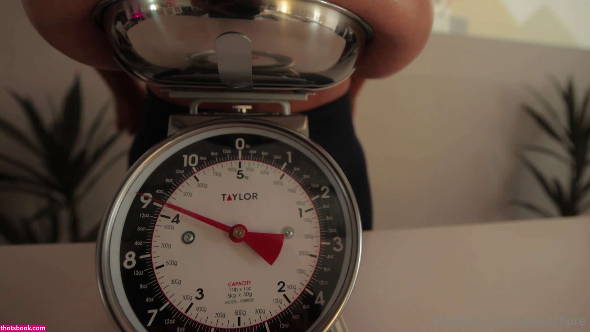 Wendy Fiore Nude OnlyFans Photos #7 535074