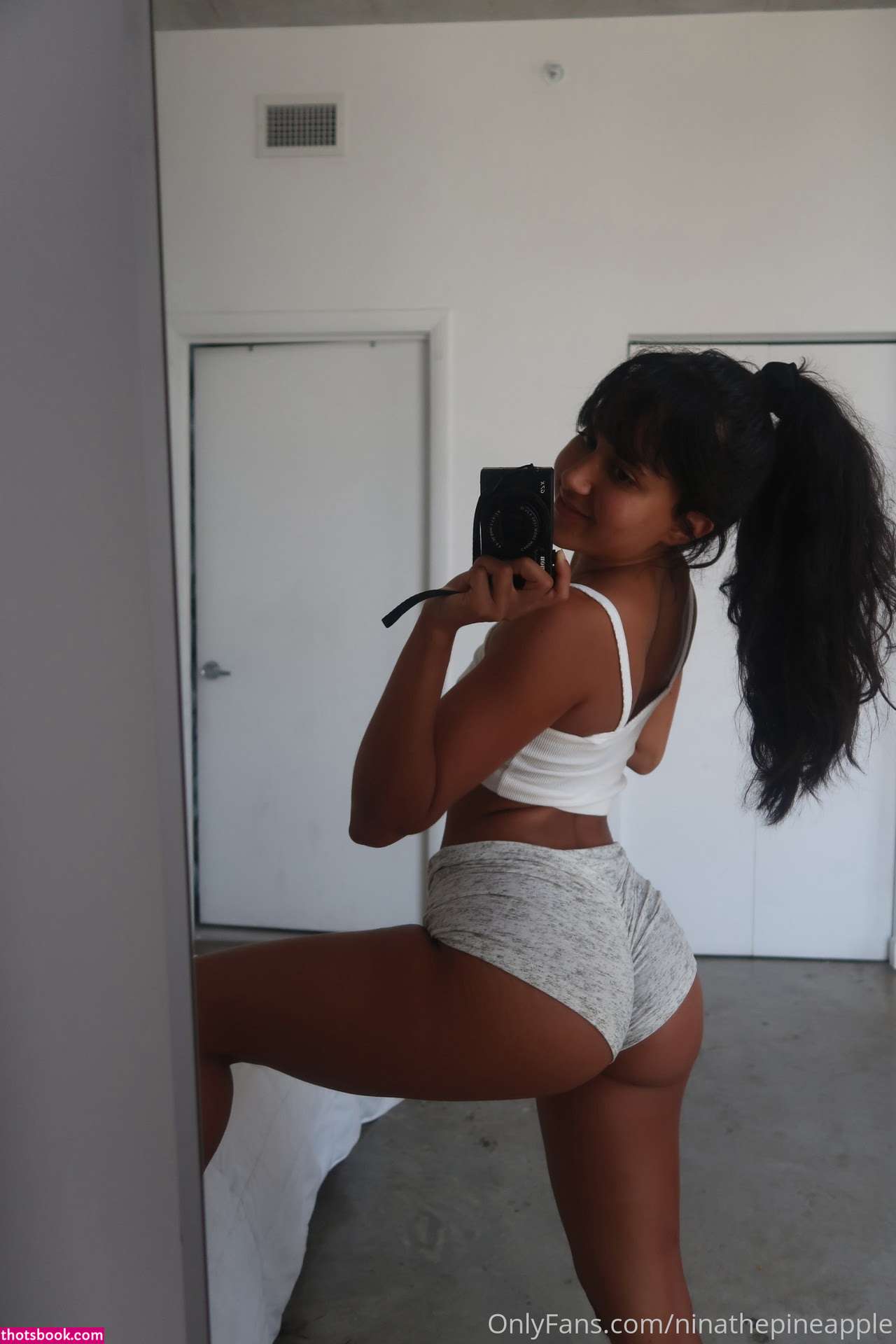 Ninathepineapple Nude OnlyFans Photos #3 536649