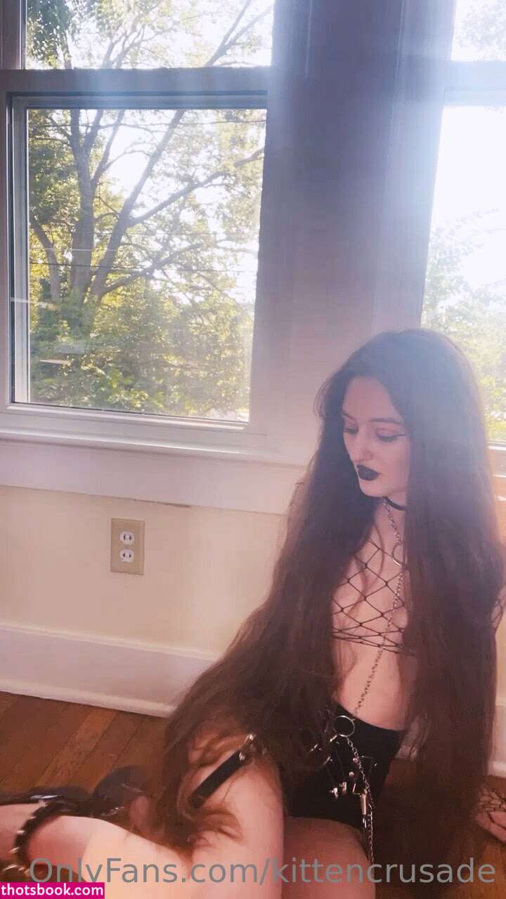 kittencrusade wobfet elaine arbor Nude Leaks OnlyFans Photos #2 1334504