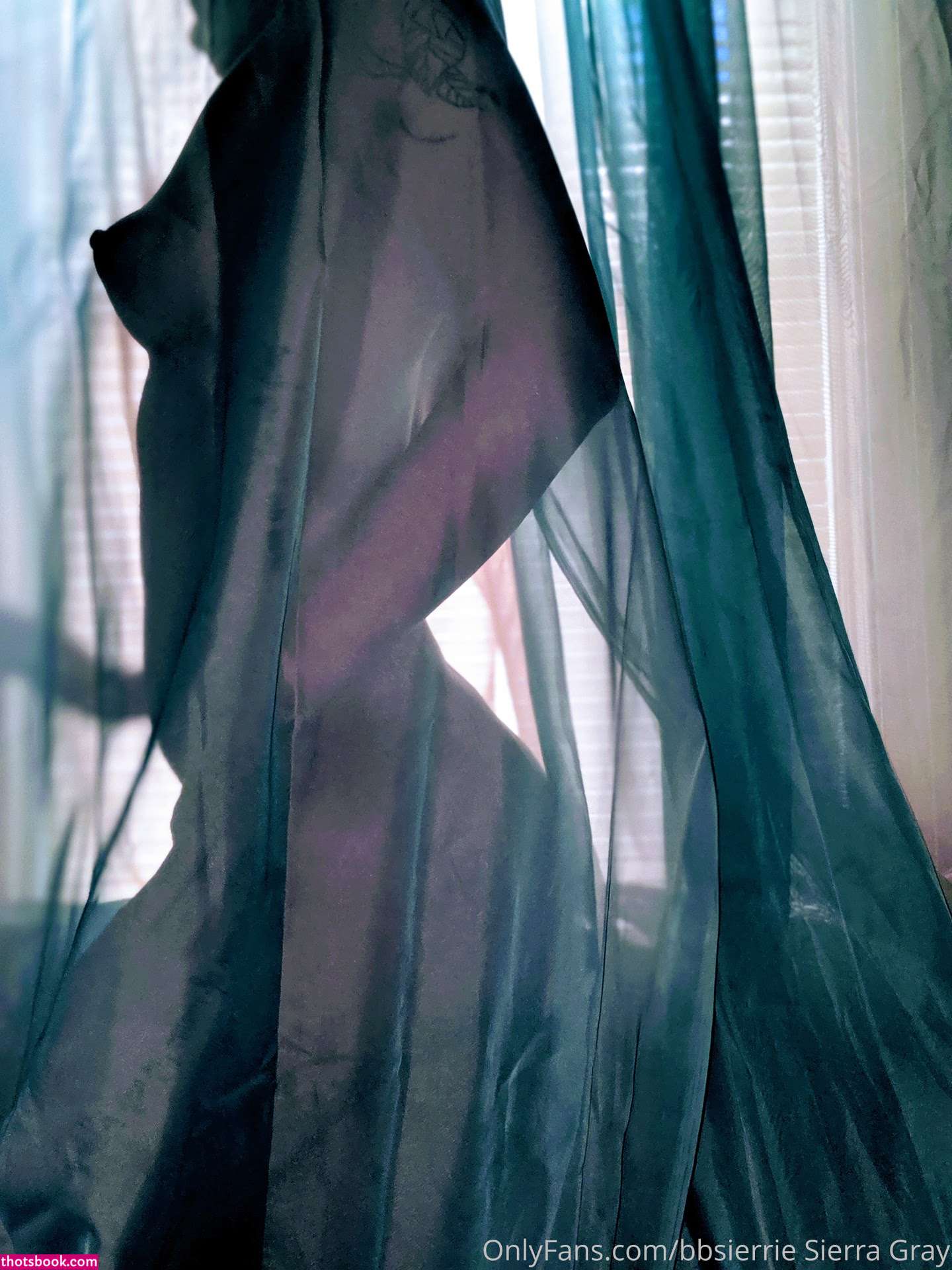 Sierra Gray bbsierrie seriouslybb Nude Leaks OnlyFans Photos #1 1334723