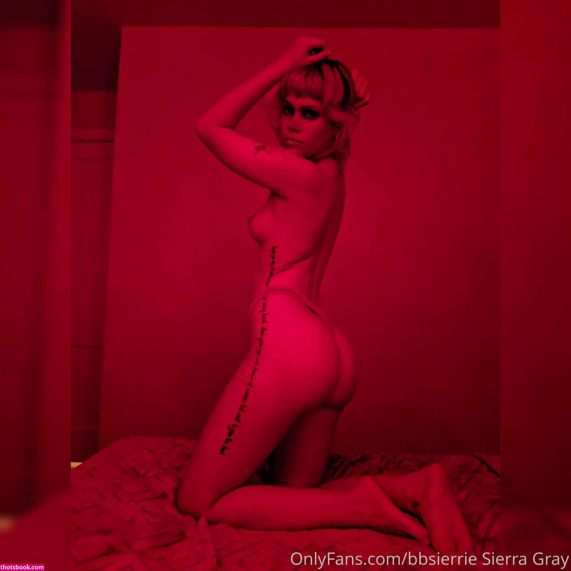 Sierra Gray bbsierrie seriouslybb Nude Leaks OnlyFans Photos #3 1334741