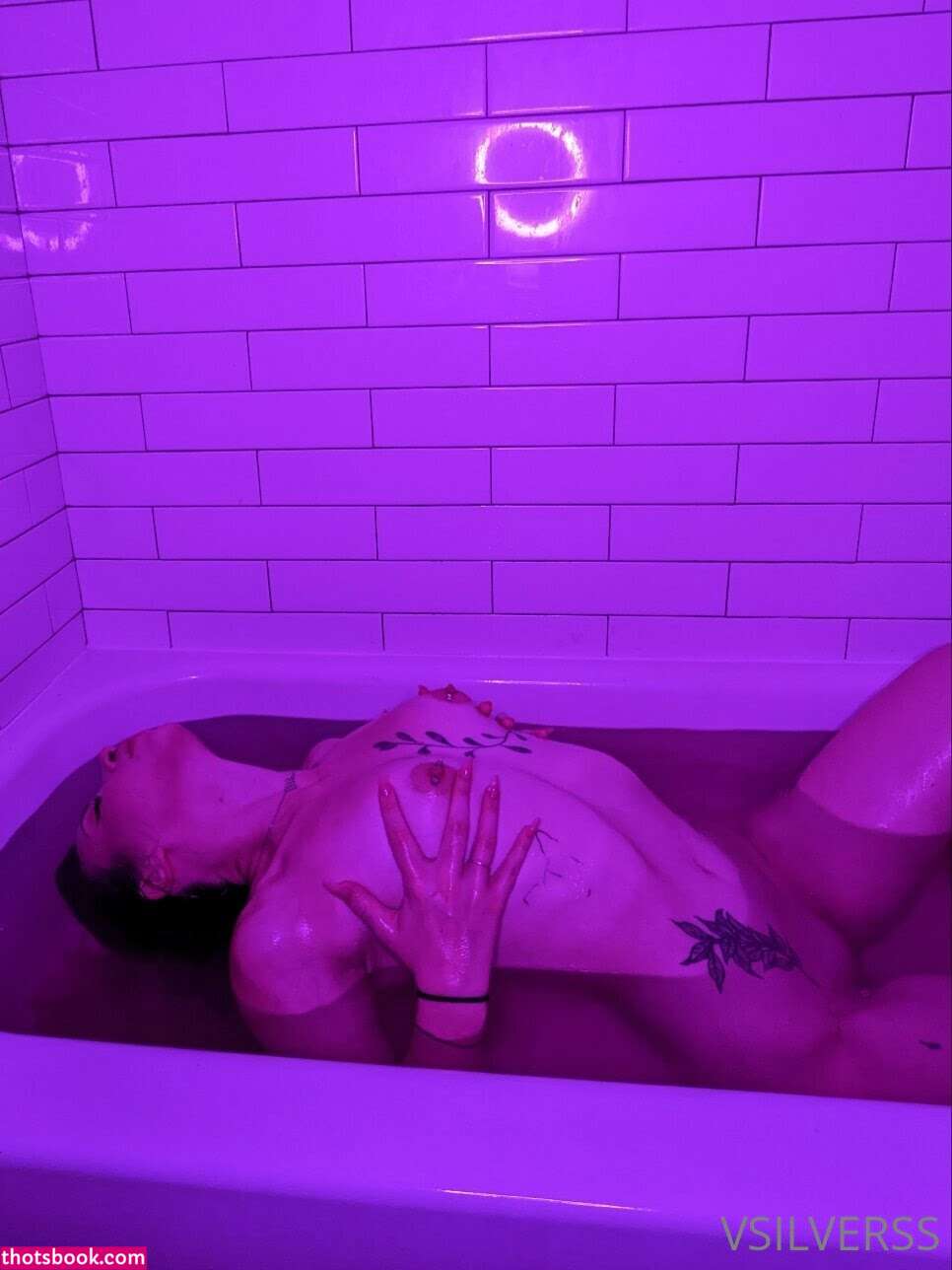 vsilverss Nude Leaks OnlyFans Photos #12 1342385