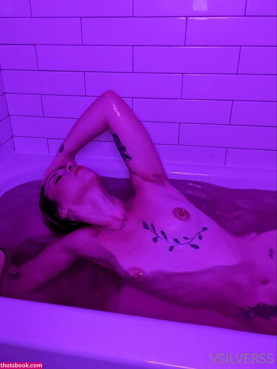 vsilverss Nude Leaks OnlyFans Photos #13 1342394
