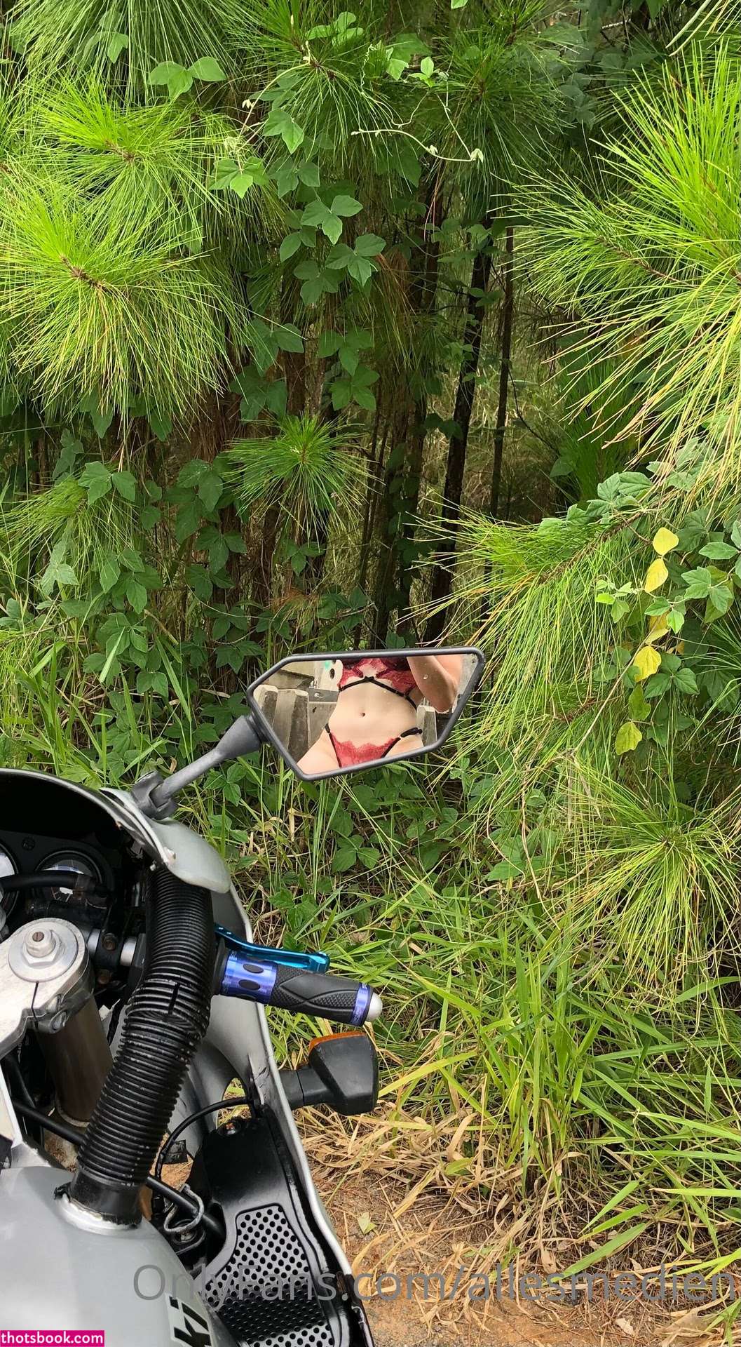 allesmedien Brooke Nude Leaks OnlyFans Photos #10 1342454