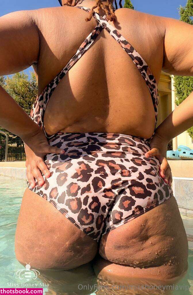 misshoneymia Nude Leaks OnlyFans Photos #2 1389956