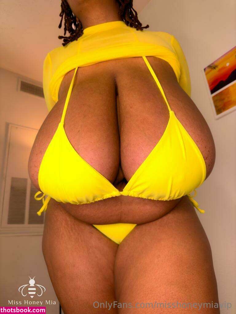 misshoneymia Nude Leaks OnlyFans Photos #7 1391162
