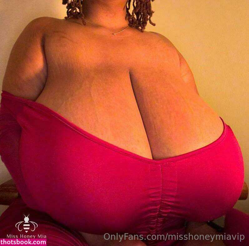 misshoneymia Nude Leaks OnlyFans Photos #9 1391179
