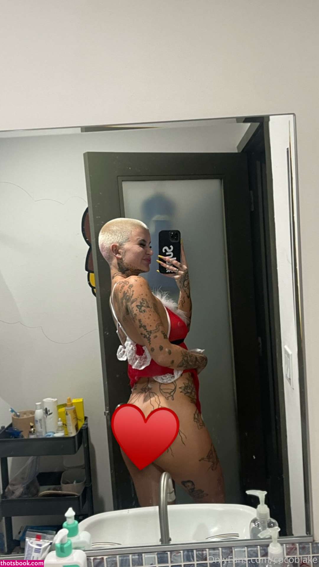 Coco Blake Nude Leaks OnlyFans Photos #7 1393044