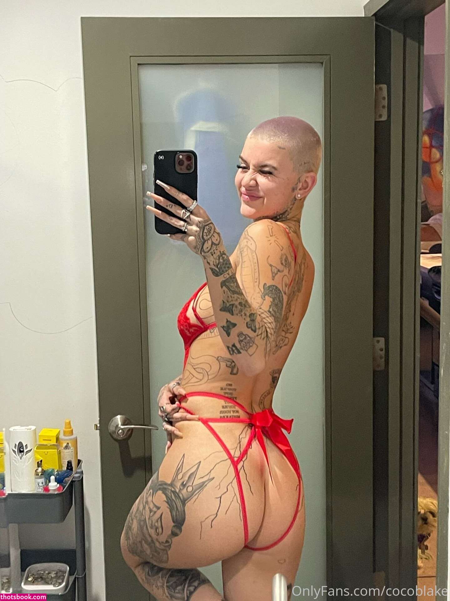 Coco Blake Nude Leaks OnlyFans Photos #9 1393057
