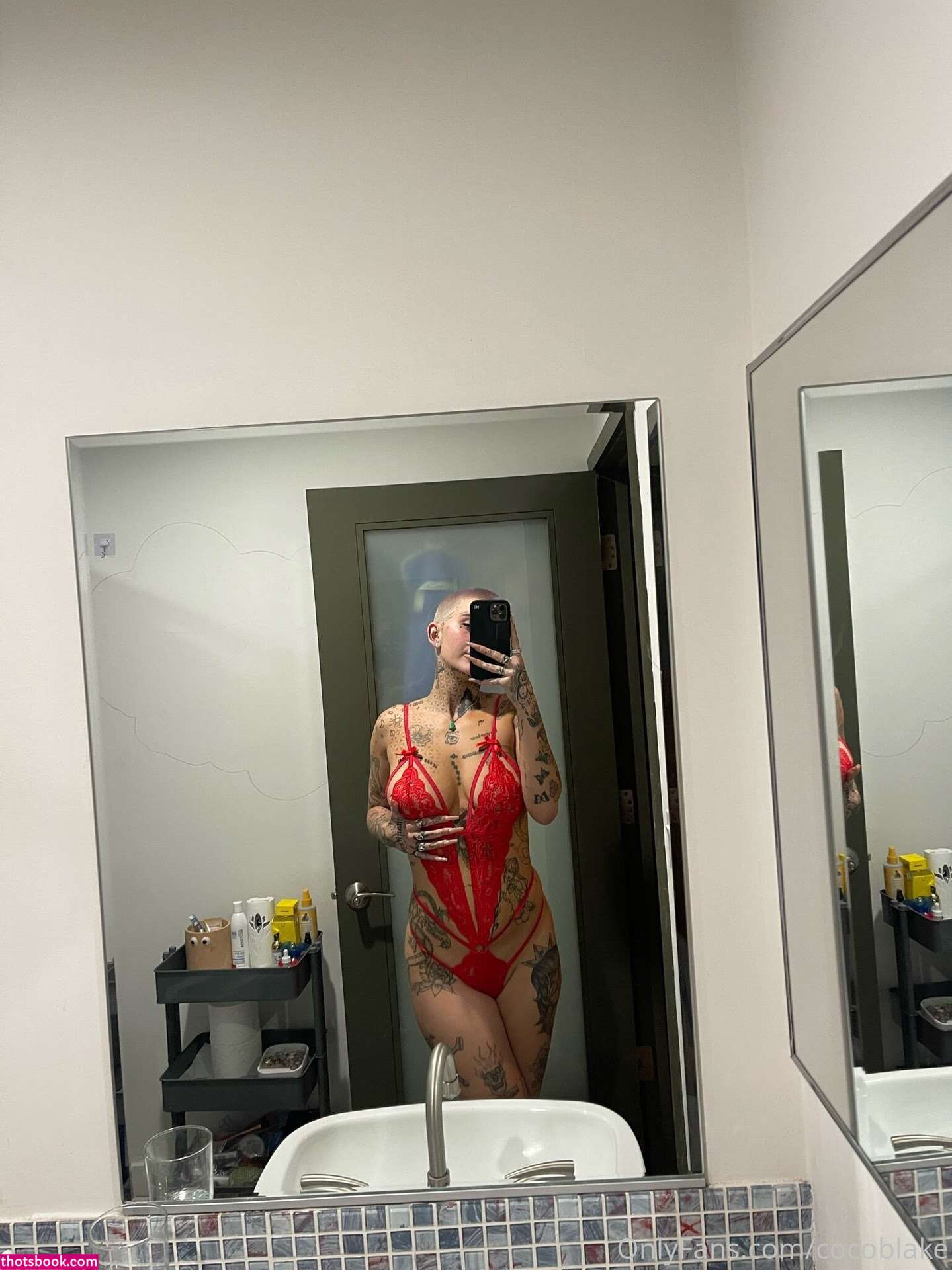 Coco Blake Nude Leaks OnlyFans Photos #9 1393060