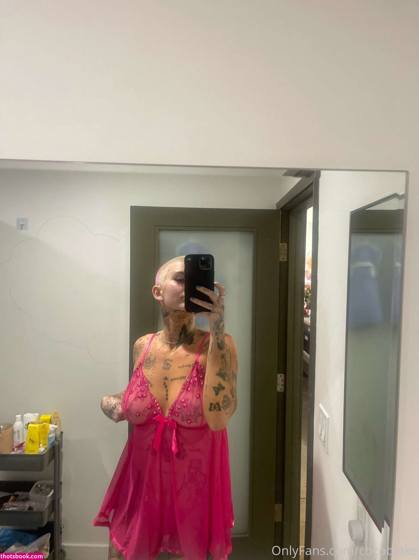 Coco Blake Nude Leaks OnlyFans Photos #10 1393067