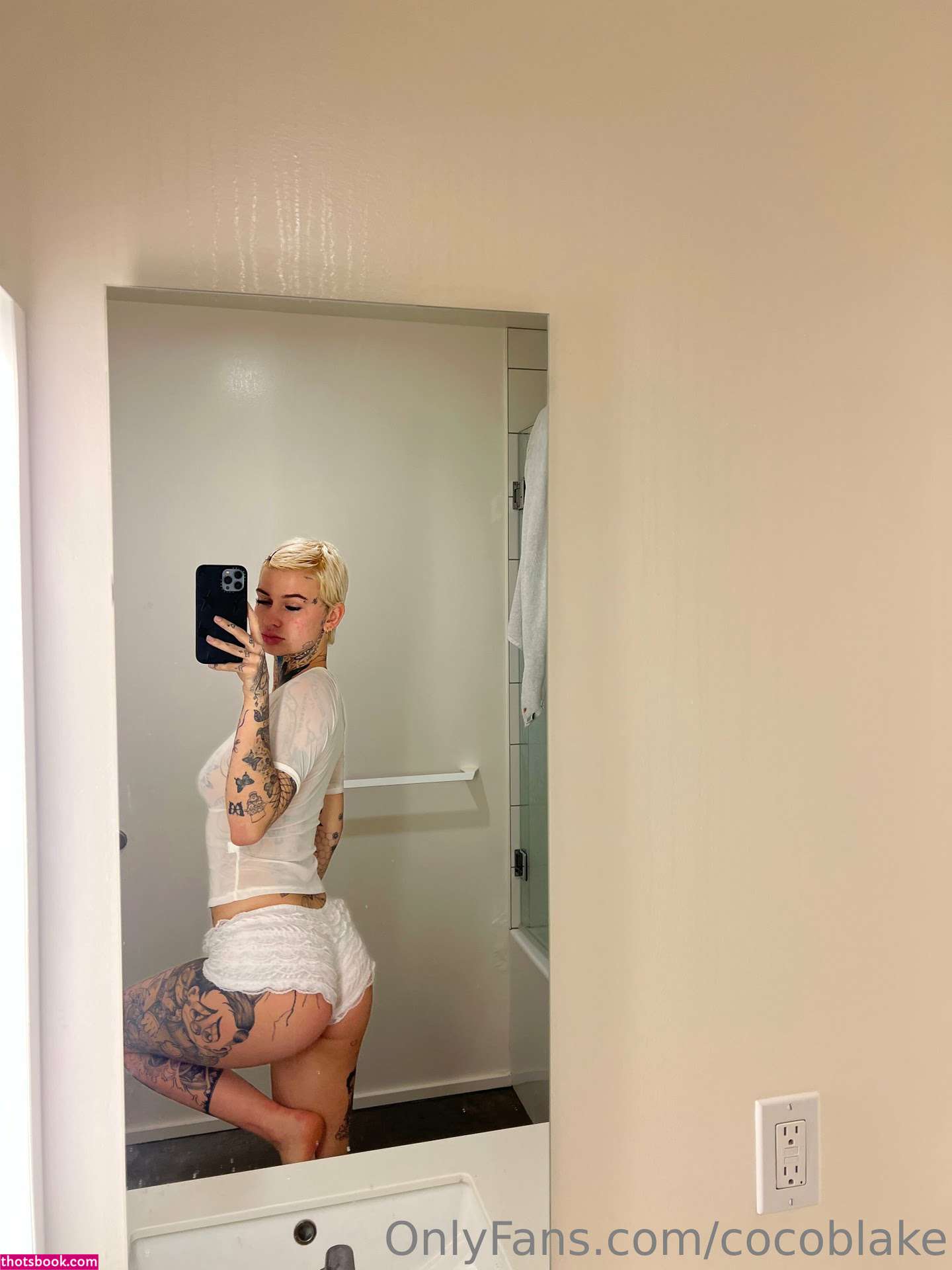 Coco Blake Nude Leaks OnlyFans Photos #10 1393081