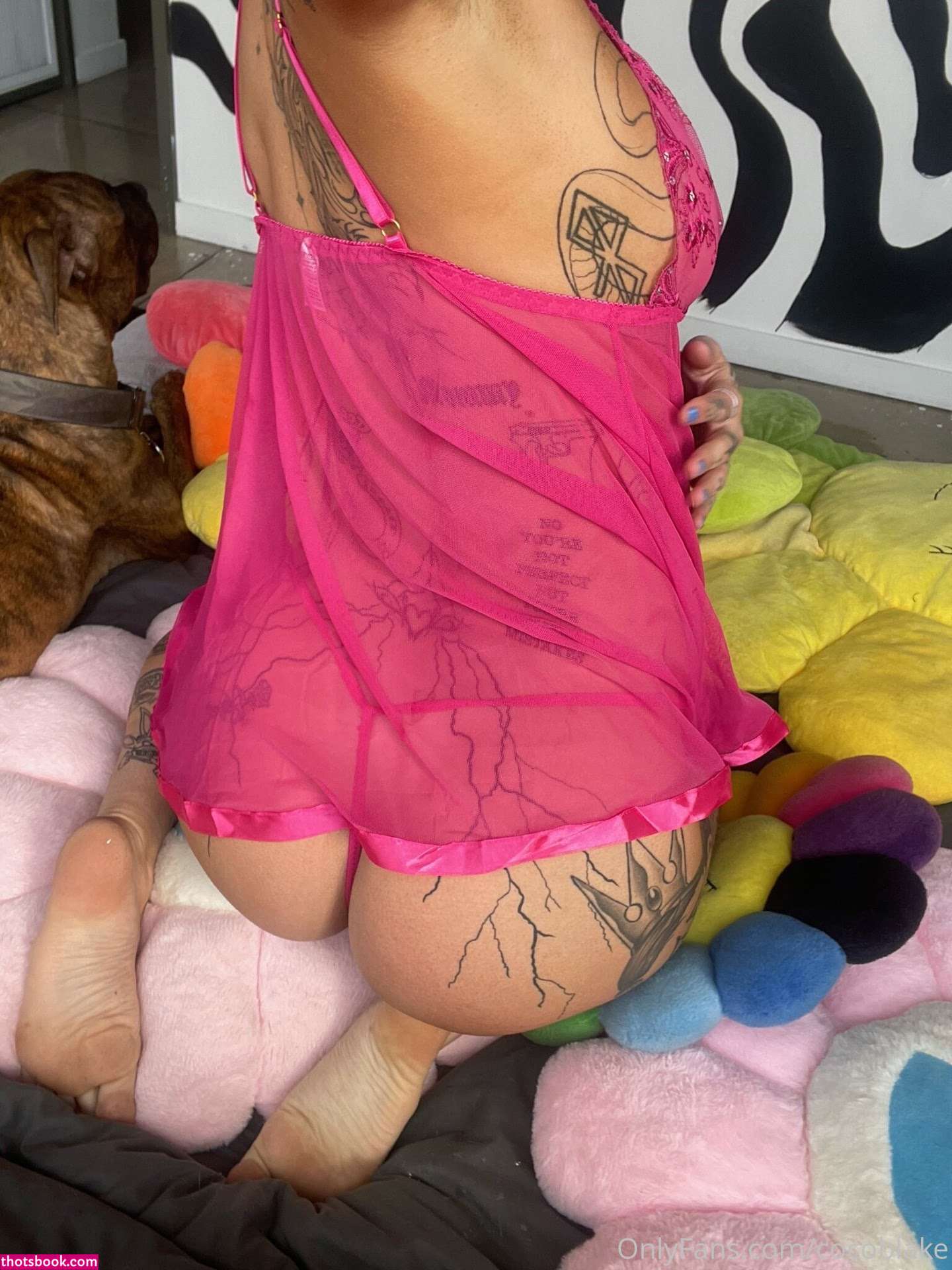 Coco Blake Nude Leaks OnlyFans Photos #10 1393082