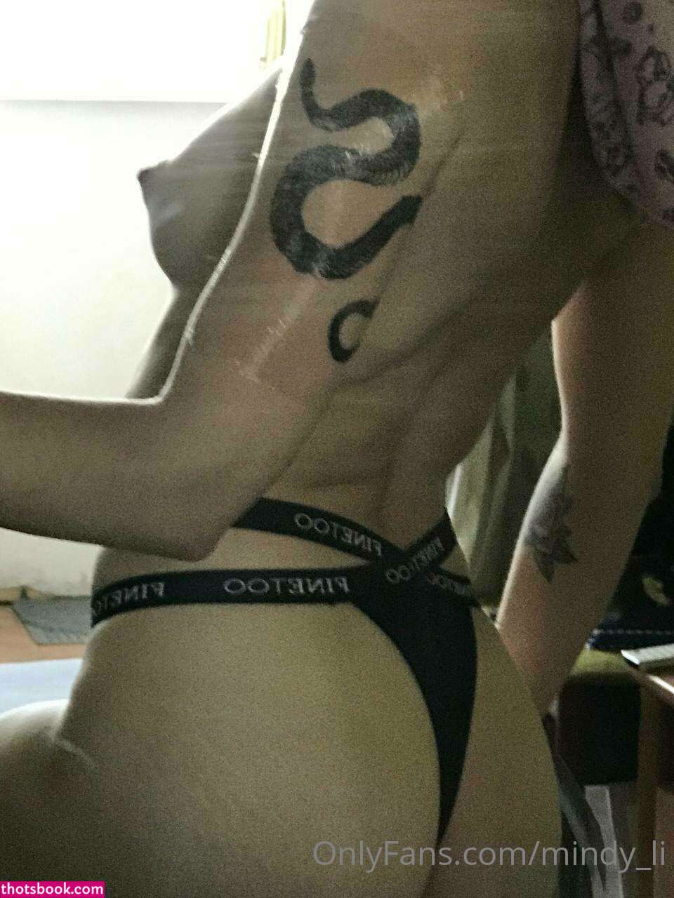 mindy li Nude Leaks OnlyFans Photos #4 1400631