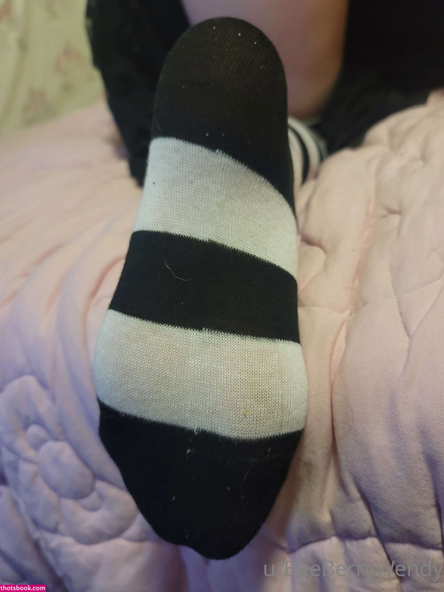 beeberrywendy Nude Leaks OnlyFans Photos #5 1359104