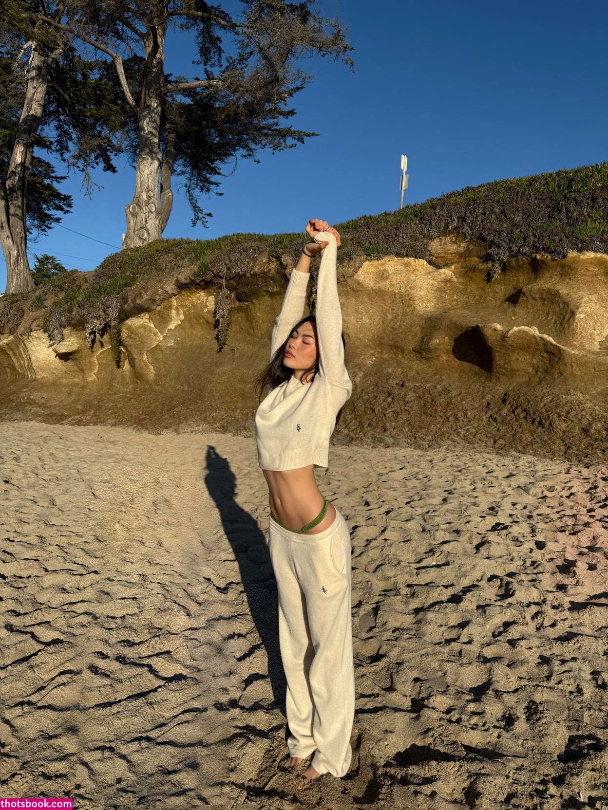 Shannon Zhao shannonz shannonthebaby Nude Leaks OnlyFans Photos #1 1893977