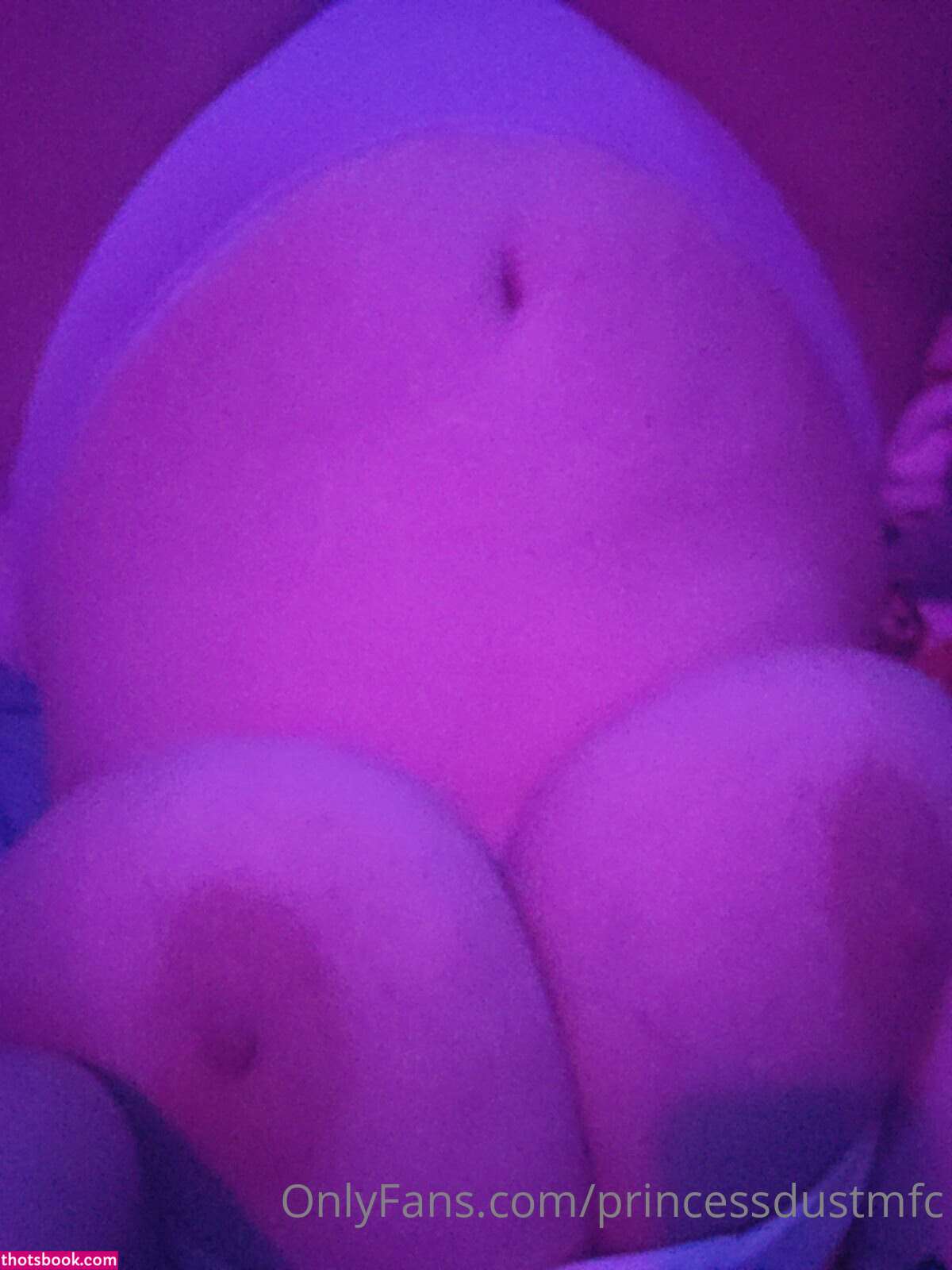 Princess Dust Nude OnlyFans Photos #7 888929