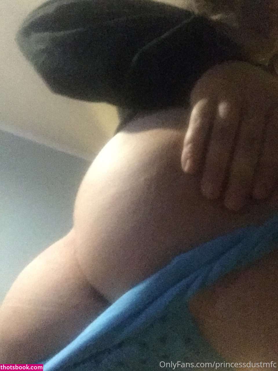 Princess Dust Nude OnlyFans Photos #15 890169