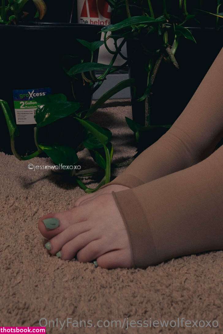 JessieWolfeXoXo Nude OnlyFans Photos #6 939823