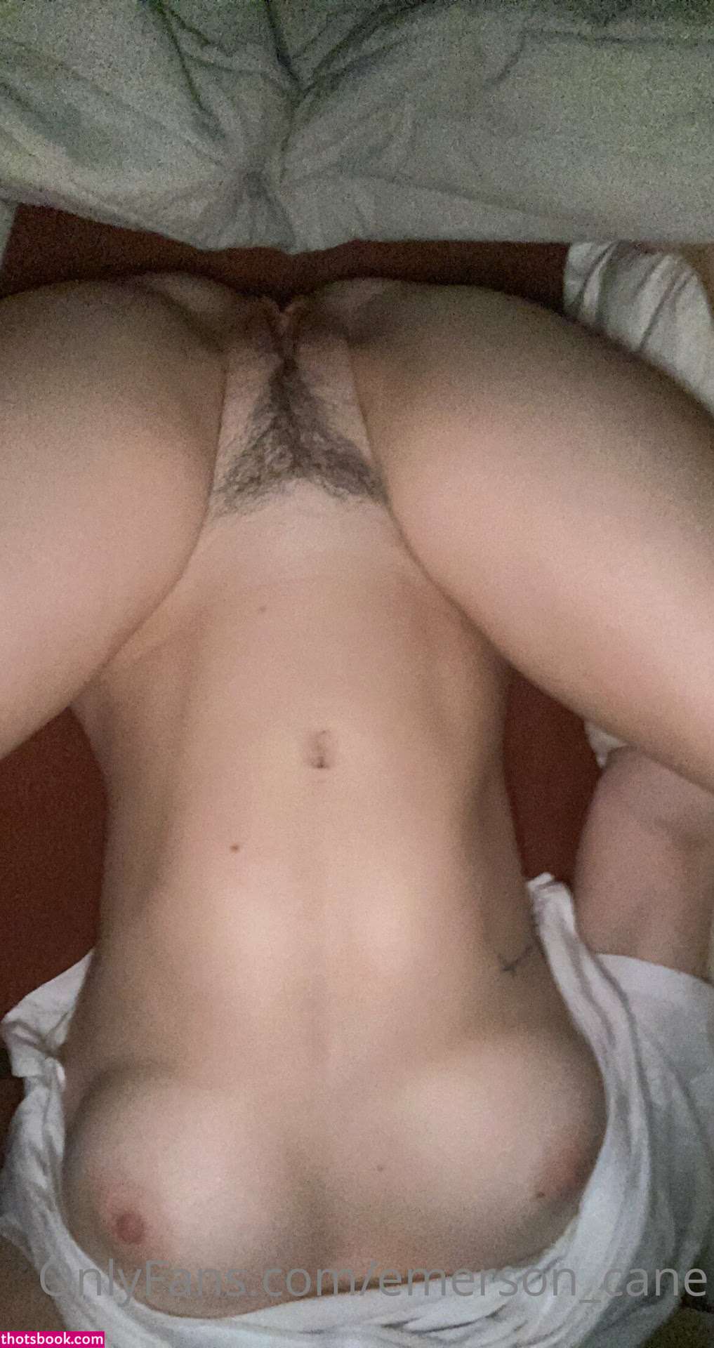 emersoncane Nude OnlyFans Photos #9 940754