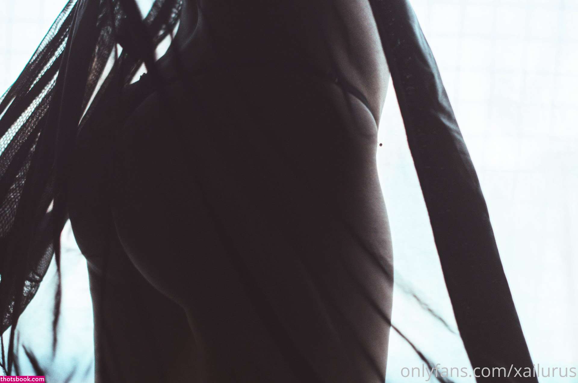 Xailurus Nude OnlyFans Photos #2 914628