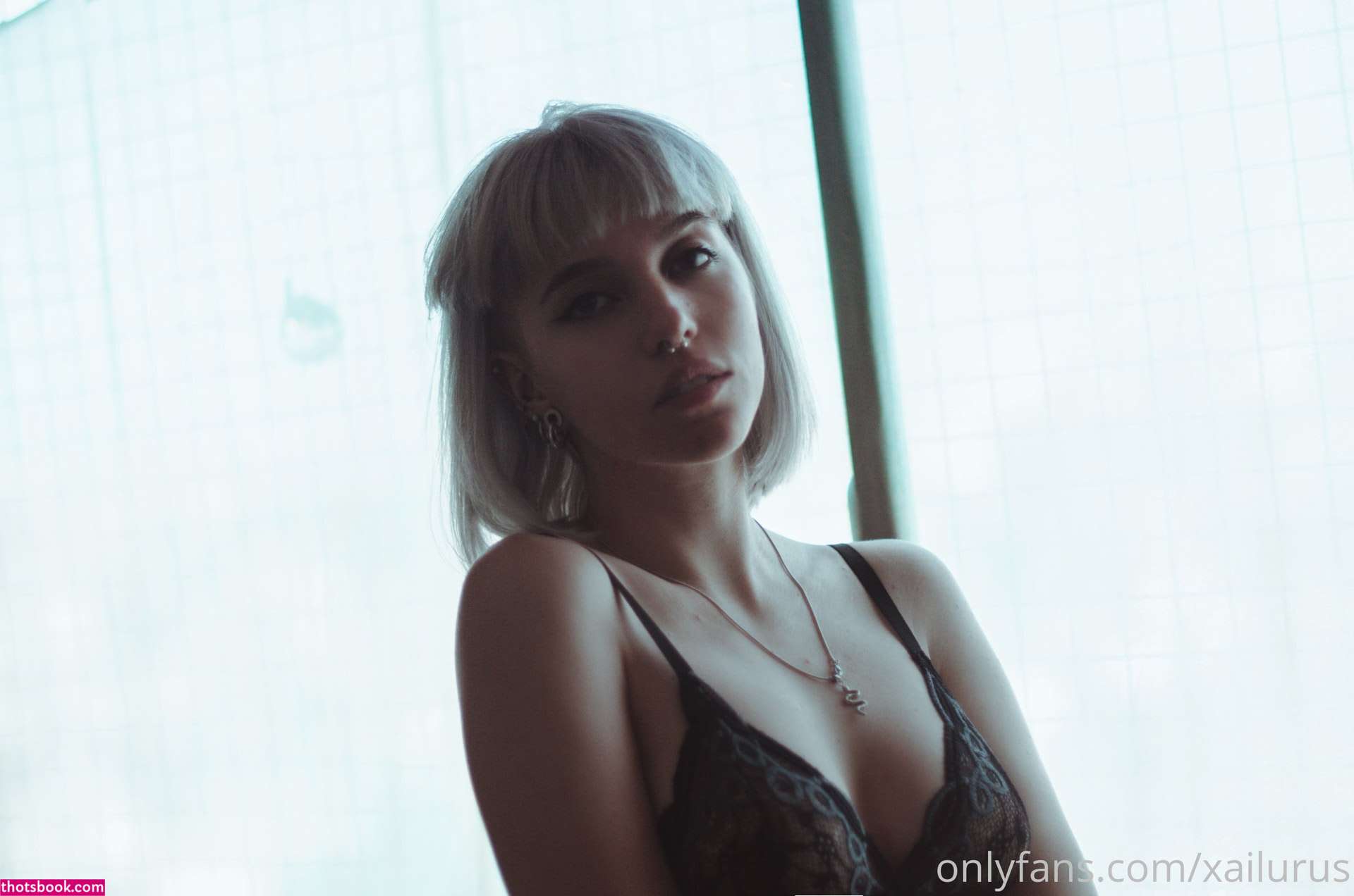 Xailurus Nude OnlyFans Photos #3 914637