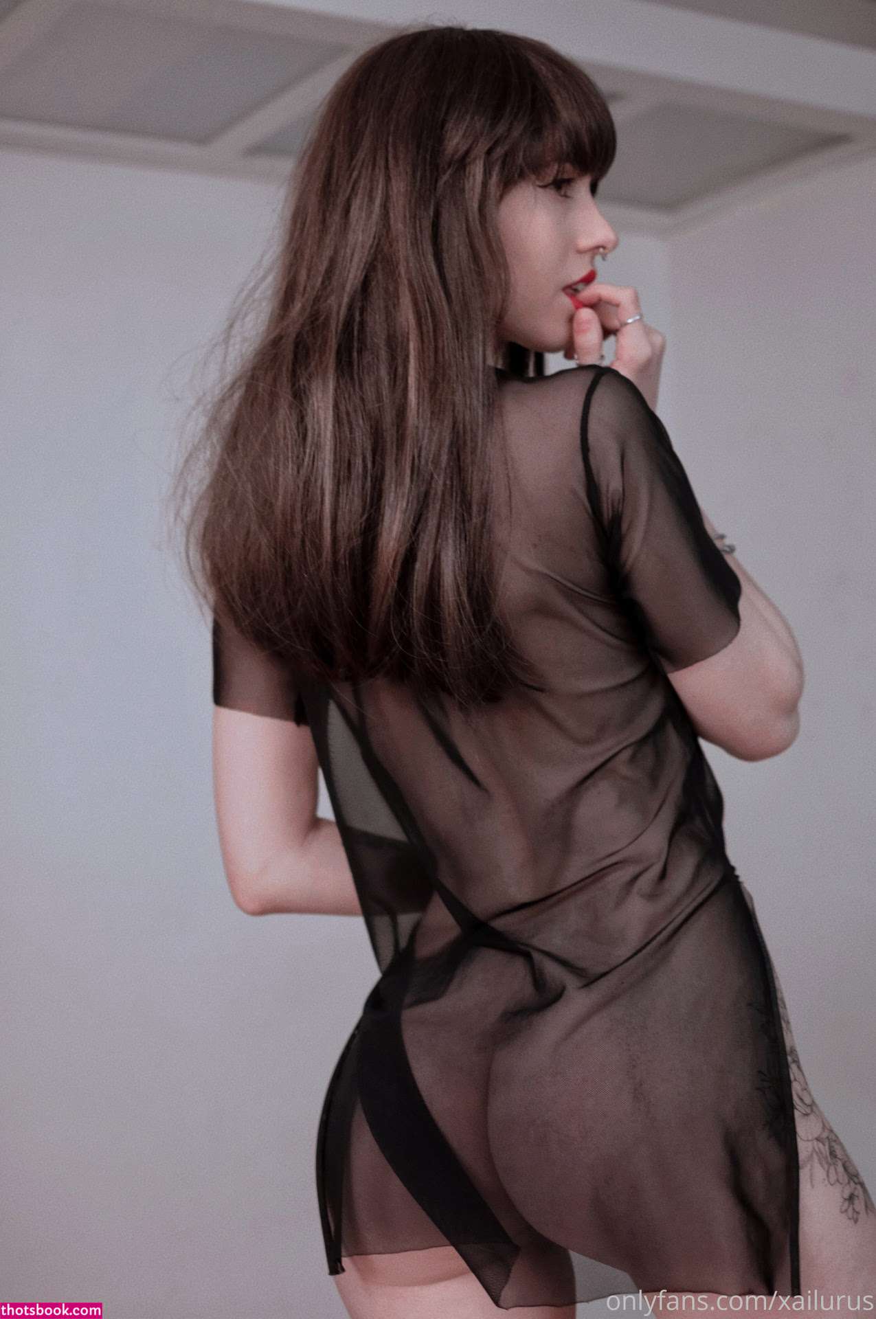 Xailurus Nude OnlyFans Photos #4 914647